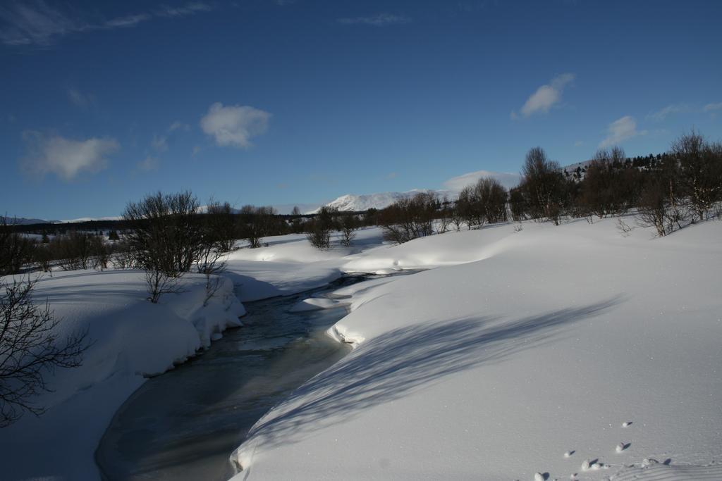 Furulund Pensjonat Ron Bagian luar foto