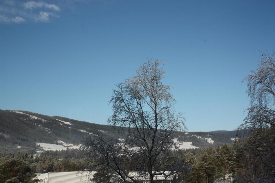 Furulund Pensjonat Ron Bagian luar foto