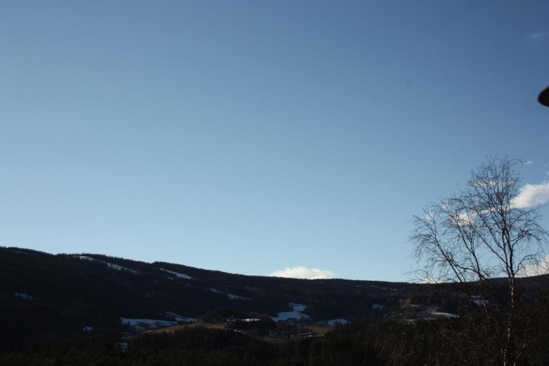 Furulund Pensjonat Ron Bagian luar foto