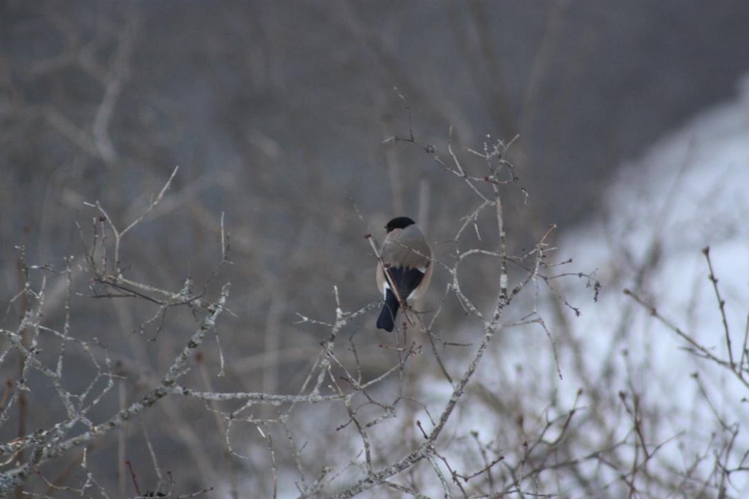 Furulund Pensjonat Ron Bagian luar foto